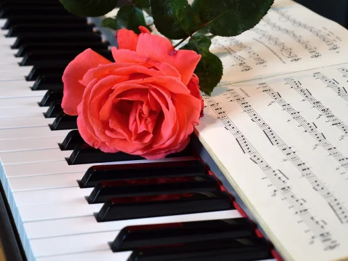 Sucuk Doğrama Rüyası: Gizemli İşaretler ve Anlamları