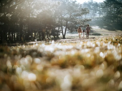 Rüyada Yağmurun Gizemi: Bolluk mu, Fırtına mı?