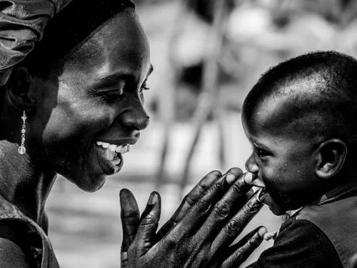 Rüyada Devrilen Çam Ağacı: Büyük Değişimin Habercisi mi?