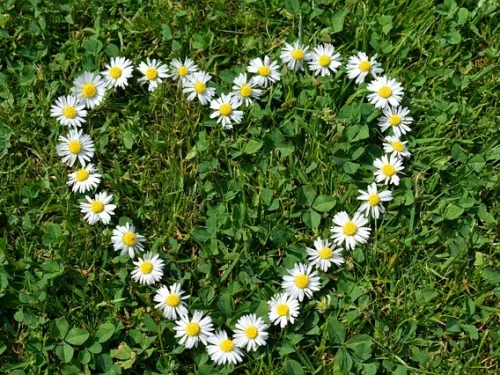 Fetih Suresi Rüyada: Zaferin ve İlahi Rehberliğin İşaretleri