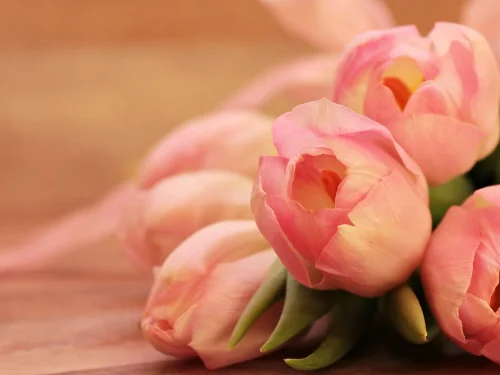 Kızarmış Elma Rüyası: Bilinçaltının Tatlı Sırları