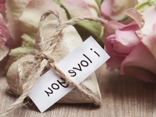 Rüyada Mantar Toplayan Birini Görmek: Gizemli Yolculuk