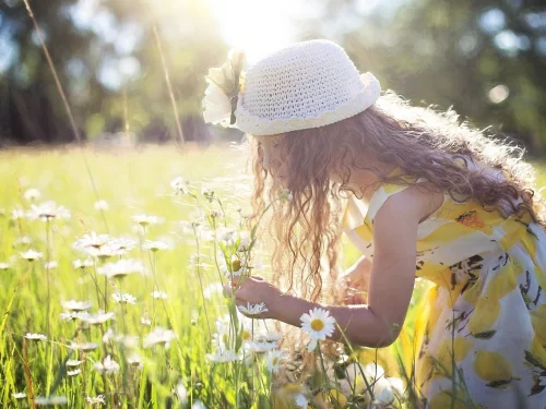 Rüyada Noter Katibi: Hayatınızdaki Resmi Dönüşüm