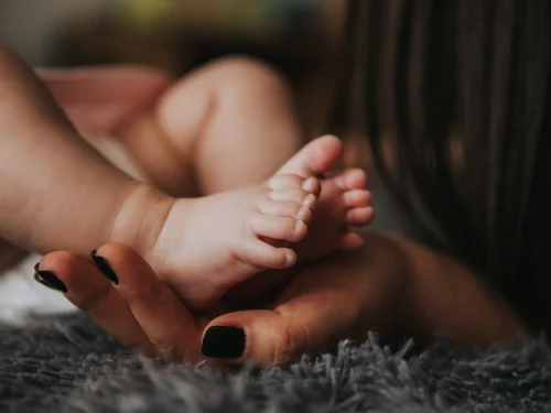 Rüyada Oda Dolusu Kitap: Bilginin Gizemli Kapısı