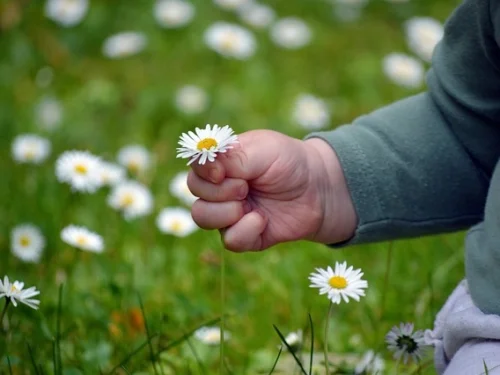 Okul Sırt Çantası Rüyası: Bilgelik Yükü mü, Gelecek Kaygısı mı?