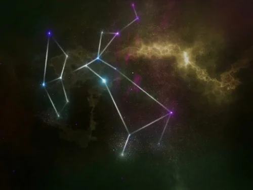 Pamuk Tarlası Rüyası: Bolluk ve Huzurun Habercisi mi?