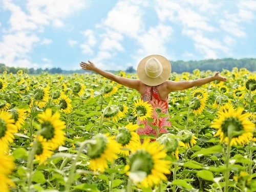 Renklerin Sırrı: Sepet Rüyaları Neler Anlatır?