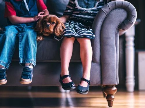 Siyah Delik Rüyası: Kayboluş mu, Dönüşüm mü?