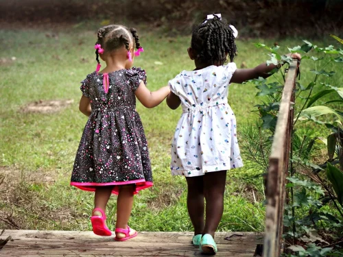 Rüyada Yılan Yuvası: Gizemli Uyarılar ve İçsel Dönüşüm