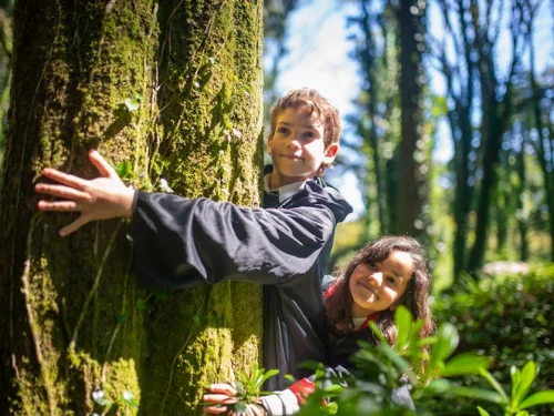 Yün Don Rüyası: Sıcaklık mı, Kısıtlama mı?